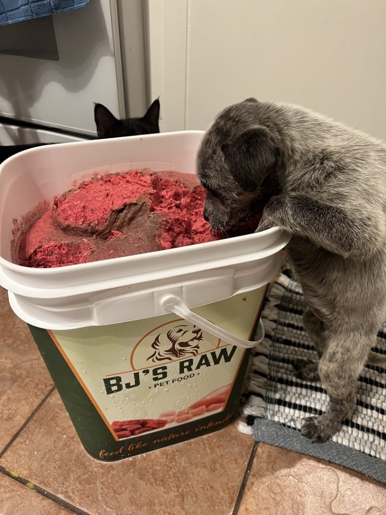 BJ's Raw Dog Food Reviews 2024: