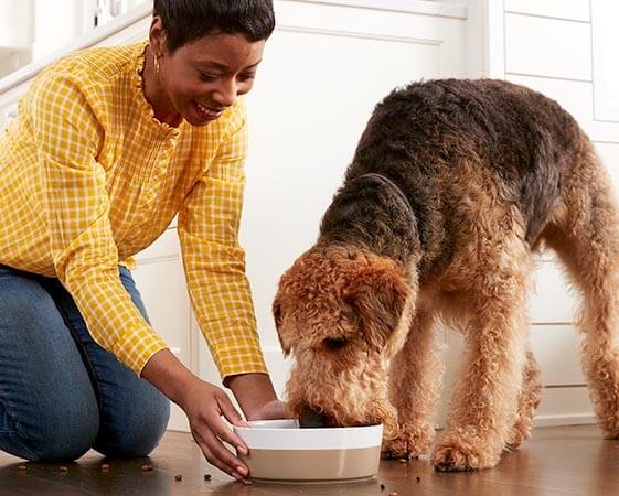 Purina pro plan vs Nutro vs Blu