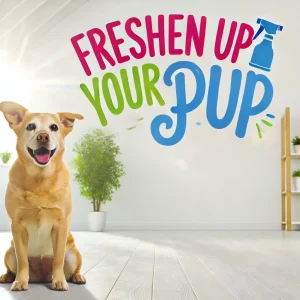 dog deodorizing spray diy