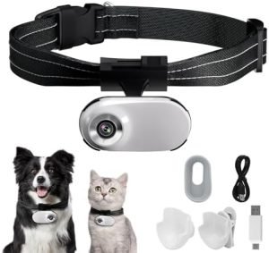 Hidden Cameras for Dog Collars