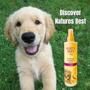 Unleash Freshness: Burt's Bees Dog Deodorizing Spray