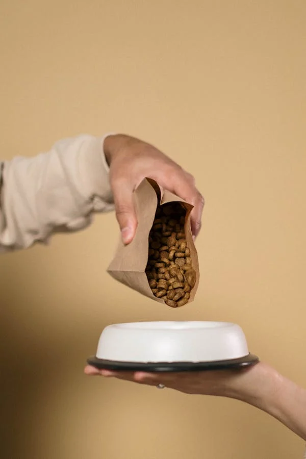 nunn better dog food 2024