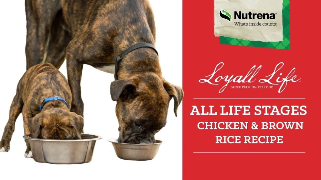 is loyall life dog food good